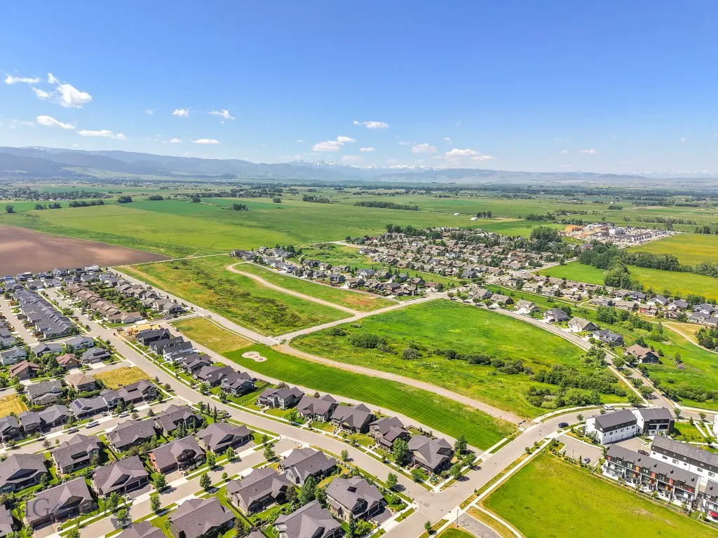 Aerial view of Meadow Bridge green fields and surrounding streets
